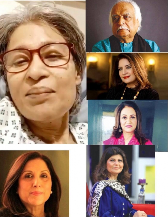 Naila Jaffri talks about the change she wants to make and other industry veterans agree