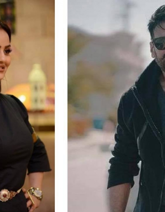 Shamoon Abbasi, Javeria Abbasi and the strangest family tree you’ll ever encounter