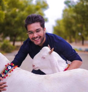 Eid Edition: What to Expect Every Bakra Eid
