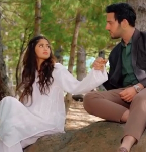 Review: Ishq e Laa Waltzing into the Drama Scene with Heartwarming Introductions