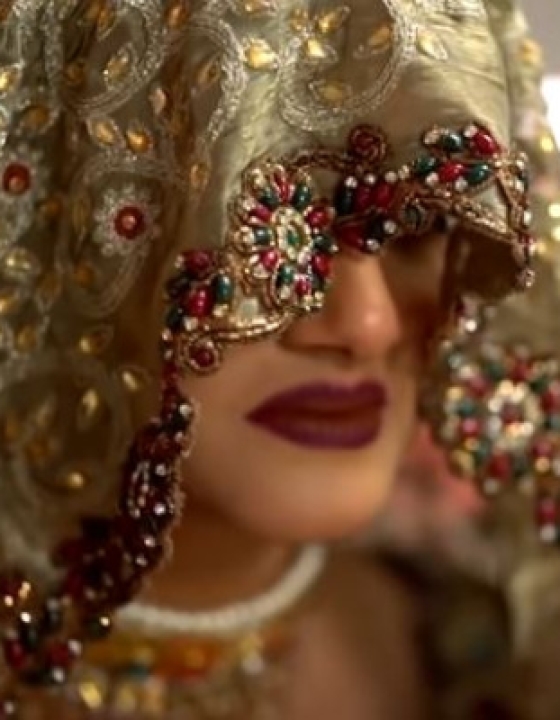 Shiza, Fiza and the Twitter Party that followed