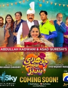 Sartorial statements and Pehlwani – Mohsin Naveed Ranjha’s Sheranwal Bagh