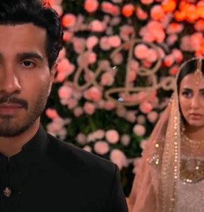 Habs, right out of a paperback romance!