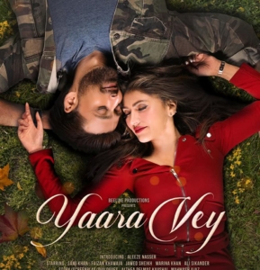 Trailer Review: Yaara Vey could be a pleasant watch