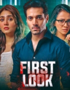 Movie review: Money Back Guarantee, the insane highs, the nonsensical lows