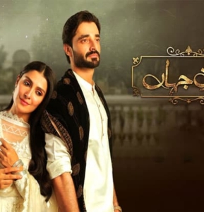 Jaan e Jahan, Episode One and Two Review: A gripping start to a story told well